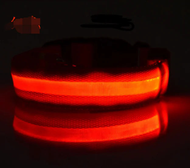 Glow In The Dark Dog Collar