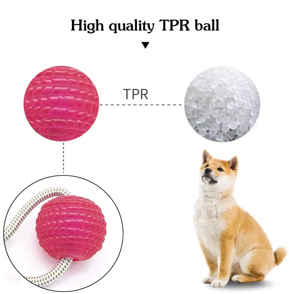 Suction Cup Dog Push Ball Toy