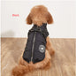 Winter Dog Jacket