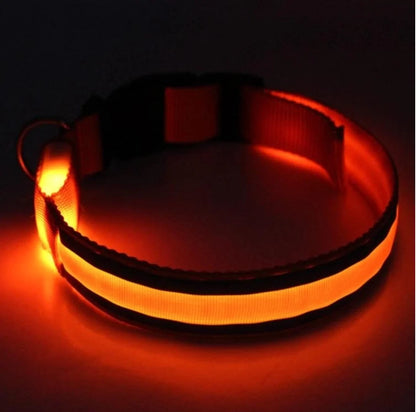 Glow In The Dark Dog Collar