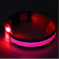 Glow In The Dark Dog Collar