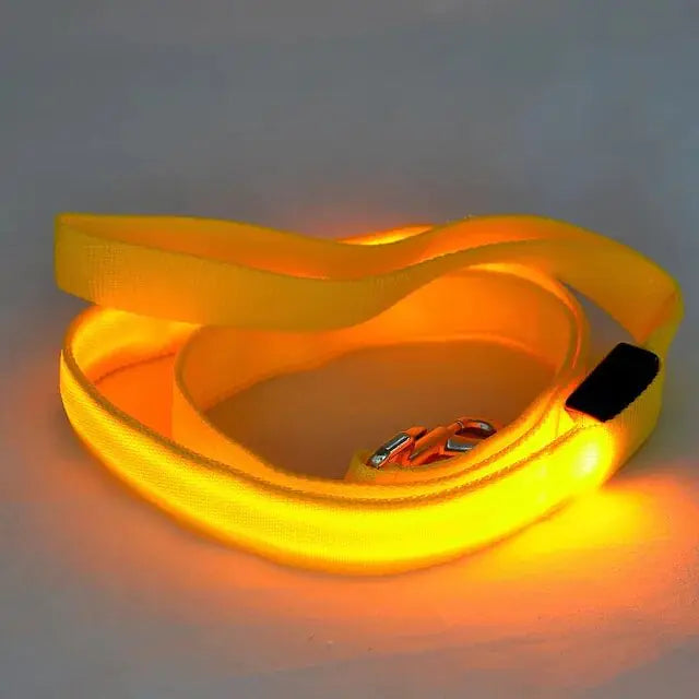 LED Dog Leash Rope