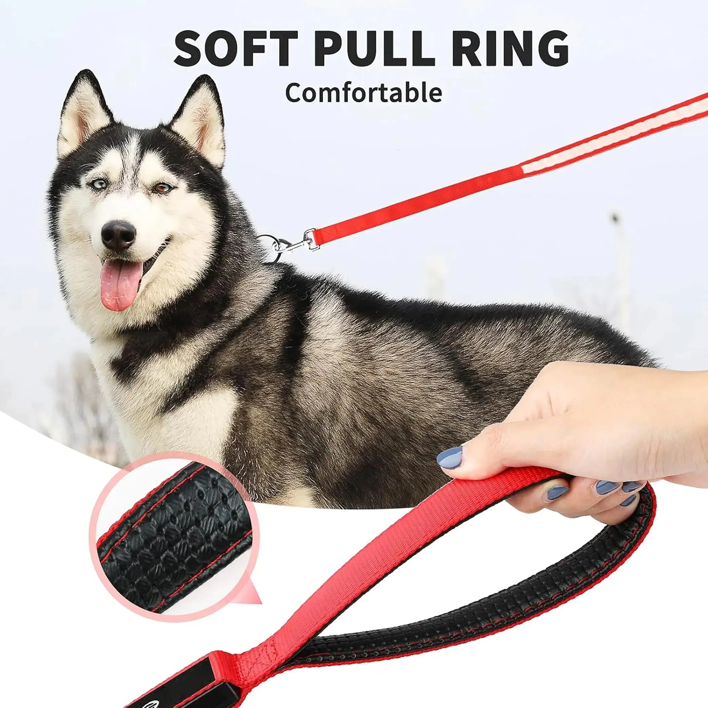 LED Flashing Waterproof Dog Leash