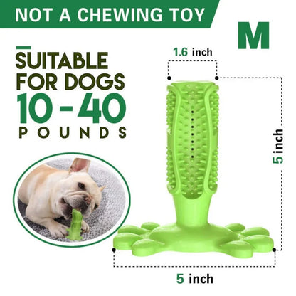 Toothbrush For Dog