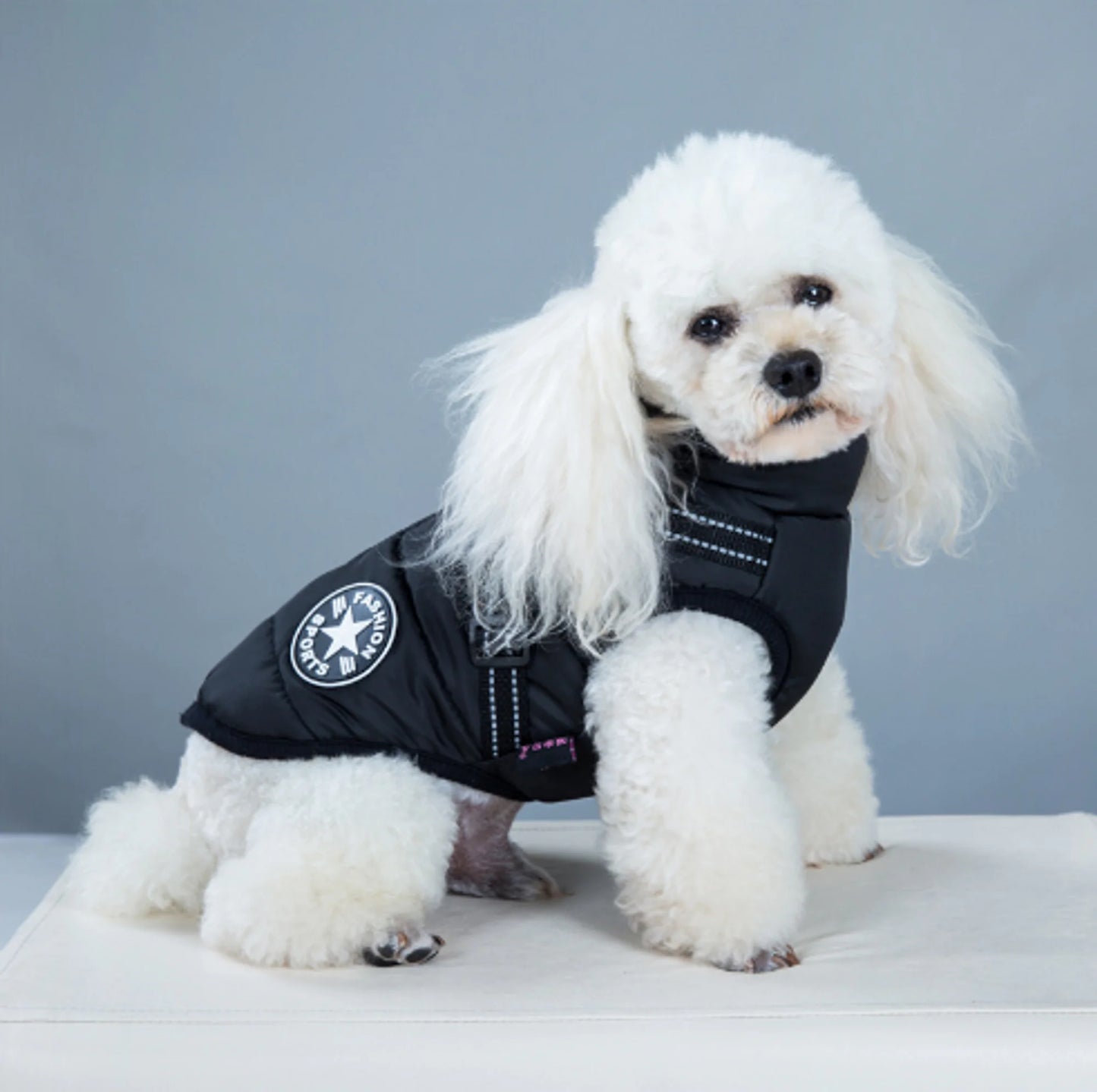 Hometecture™ Dog Winter Waterproof Jacket