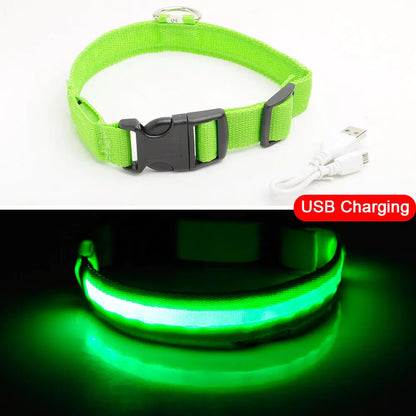 Led Dog Collar Anti-Lost Collar