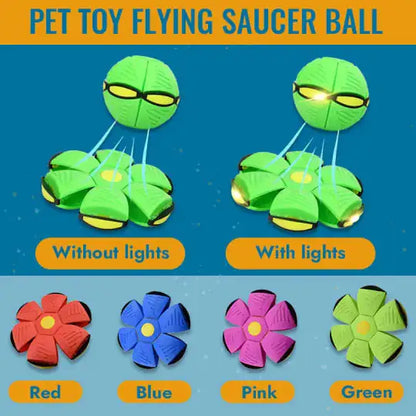 Pet Flying Saucer Ball Toy