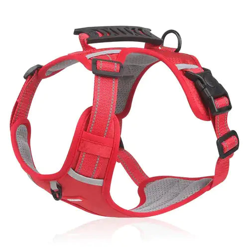 Dog Walking Harness