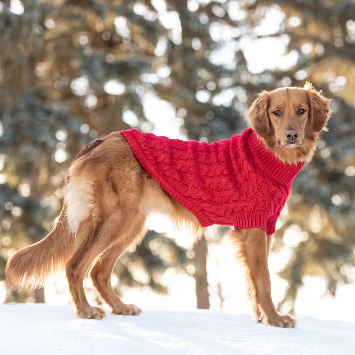 Red Chalet Dog Sweater