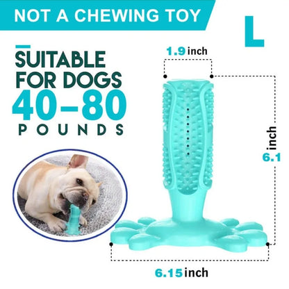 Toothbrush For Dog